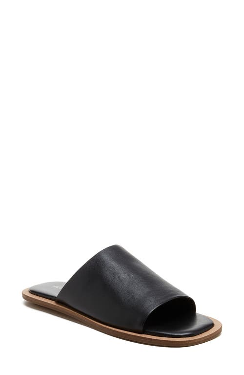 Kelsi Dagger Brooklyn Benny Slide Sandal in Black  product