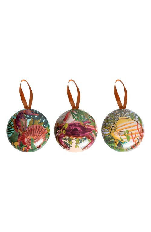 Granado The Deep Sea Wonders Collection Set In Transparent