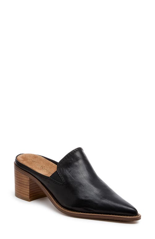 Kelsi Dagger Brooklyn Mason Pointed Toe Loafer Mule In Black