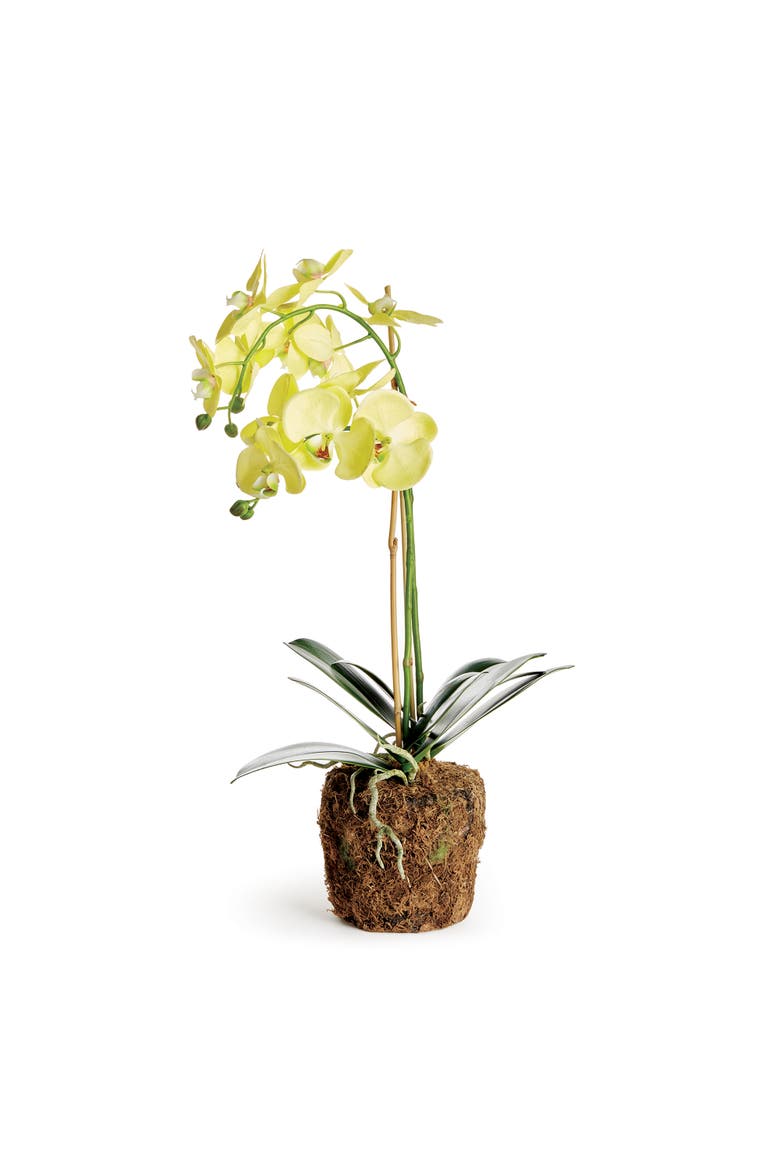 Phalaenopsis Orchid Artificial Plant Drop-In, Main, color, Yellow
