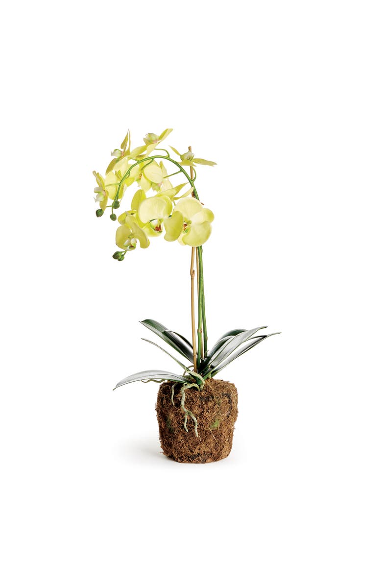 Napa Home & Garden Phalaenopsis Orchid Artificial Plant Drop-In, Main, color, Yellow