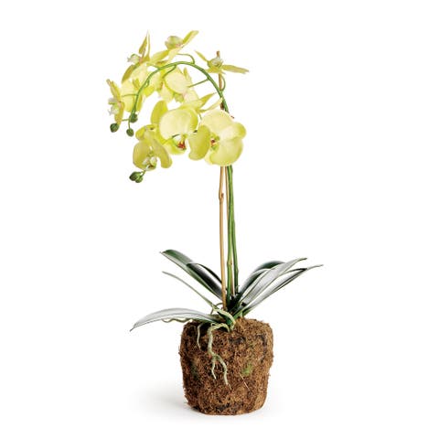 Phalaenopsis Orchid Artificial Plant Drop-In