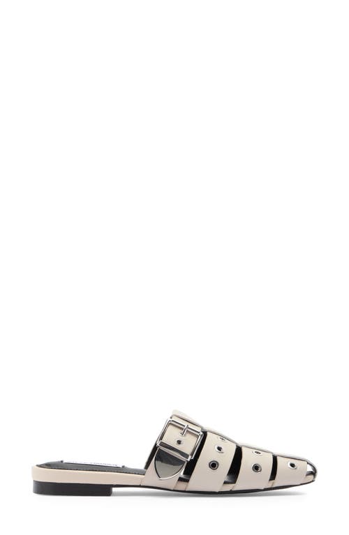 Shop Steve Madden Ladera Mule In Bone Leather