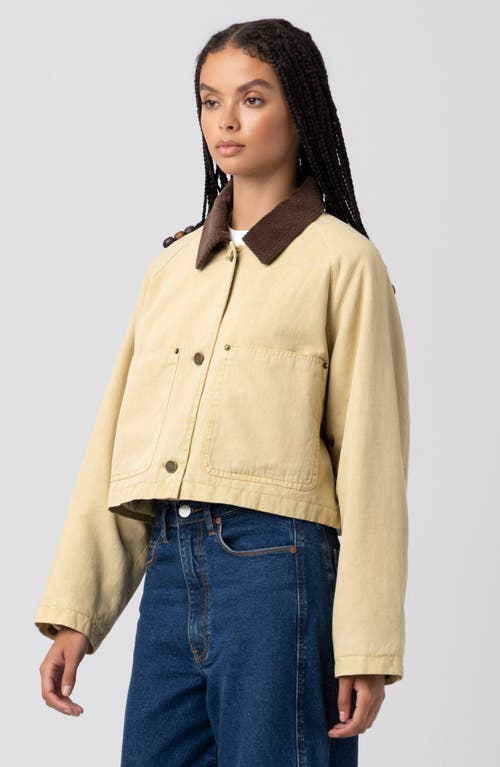 Blanknyc Crop Cotton Twill Jacket In Brown