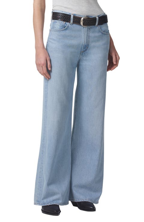 Paloma Baggy High Waist Wide Leg Jeans (Alemayde)