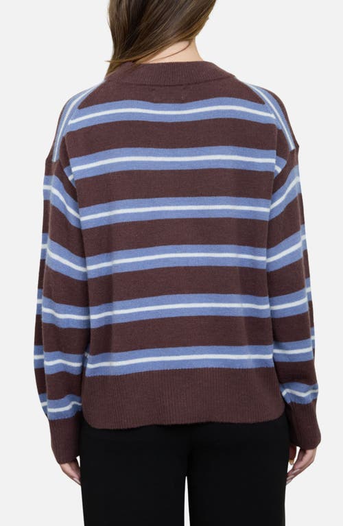 Blu Pepper Stripe Crew Sweater In Brown