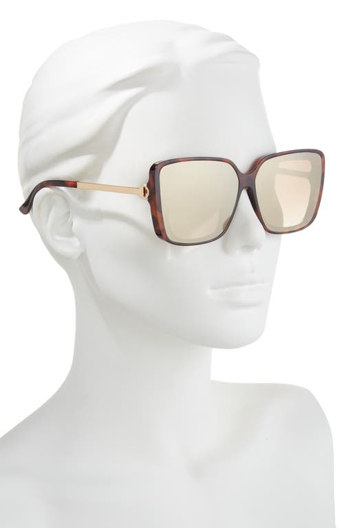 Vince Camuto Square Sunglasses In Tortoise