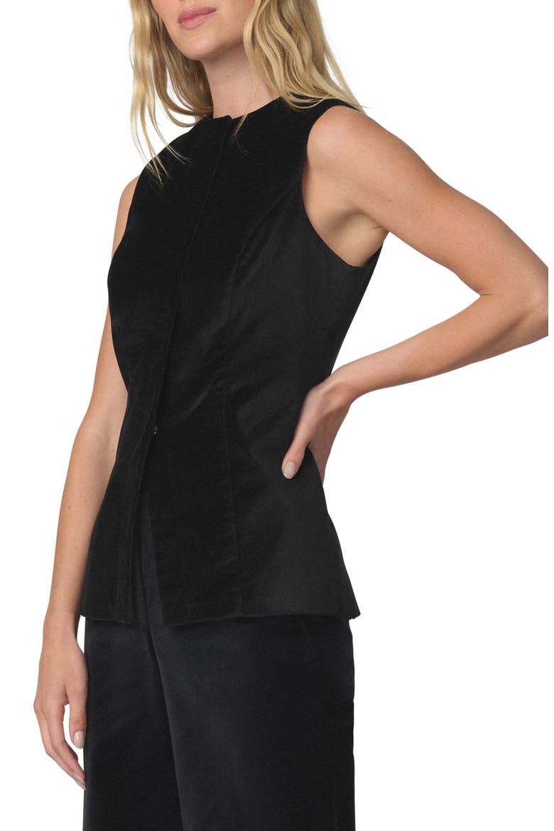 The Velveteen Sleeveless Tunic Top, Alternate, color, BLACK