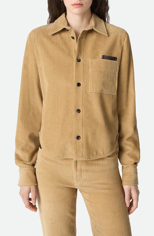 Bottega Veneta Womens Pale Oak Corduroy Curved-hem Cotton Shirt In Brown