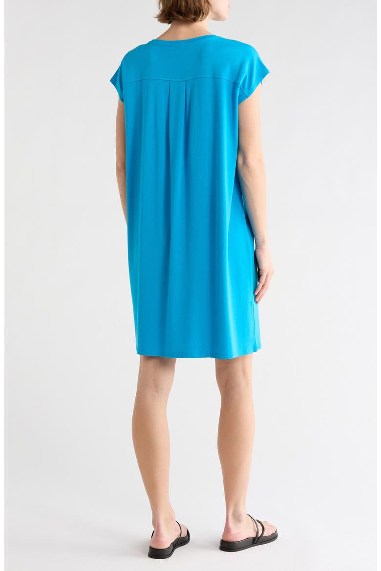 Crewneck Boxy Dress, Alternate, color, BLUE