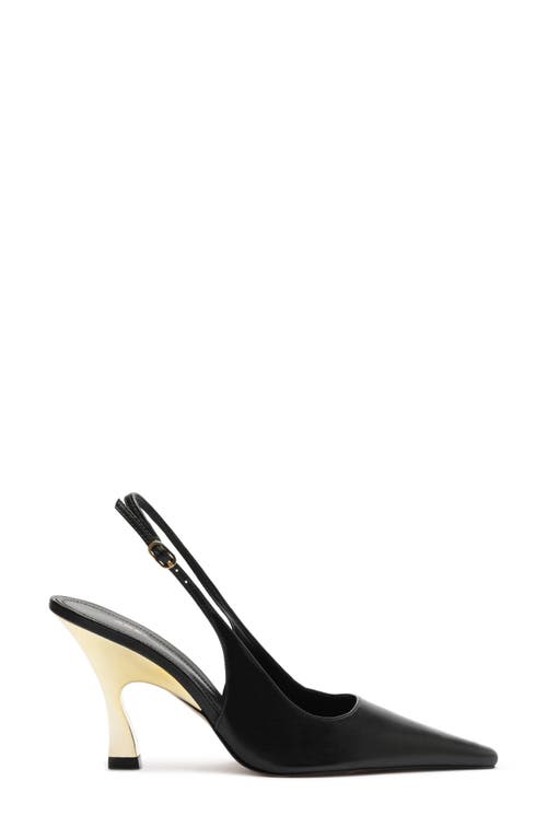 Arezzo Roxy Slingback Pointed Toe Pump In Black