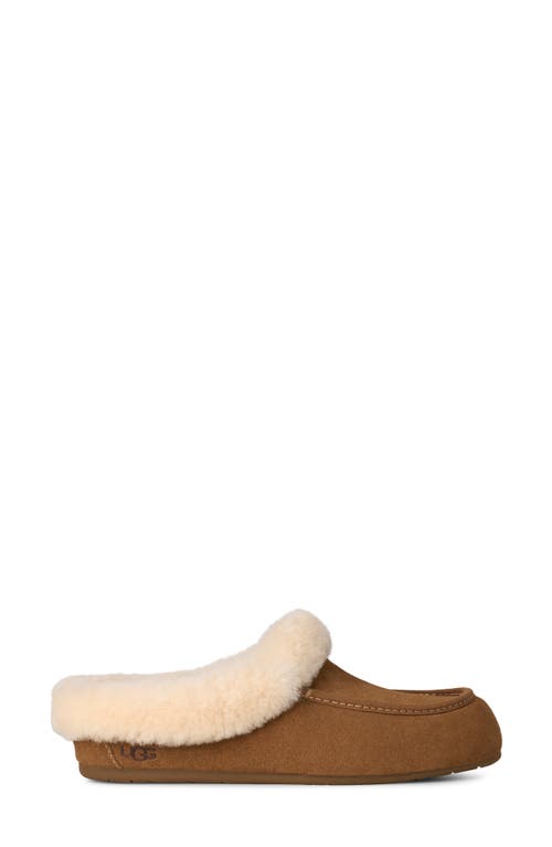 Ugg(r) Ansley Genuine Shearling Trim Suede Mule In Brown