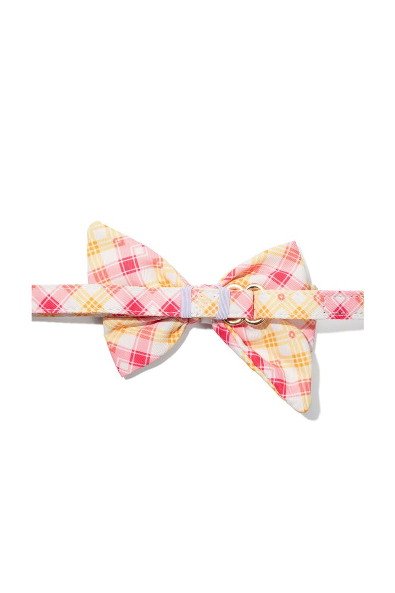 Lottie Babe Bow, Alternate, color, Lottie
