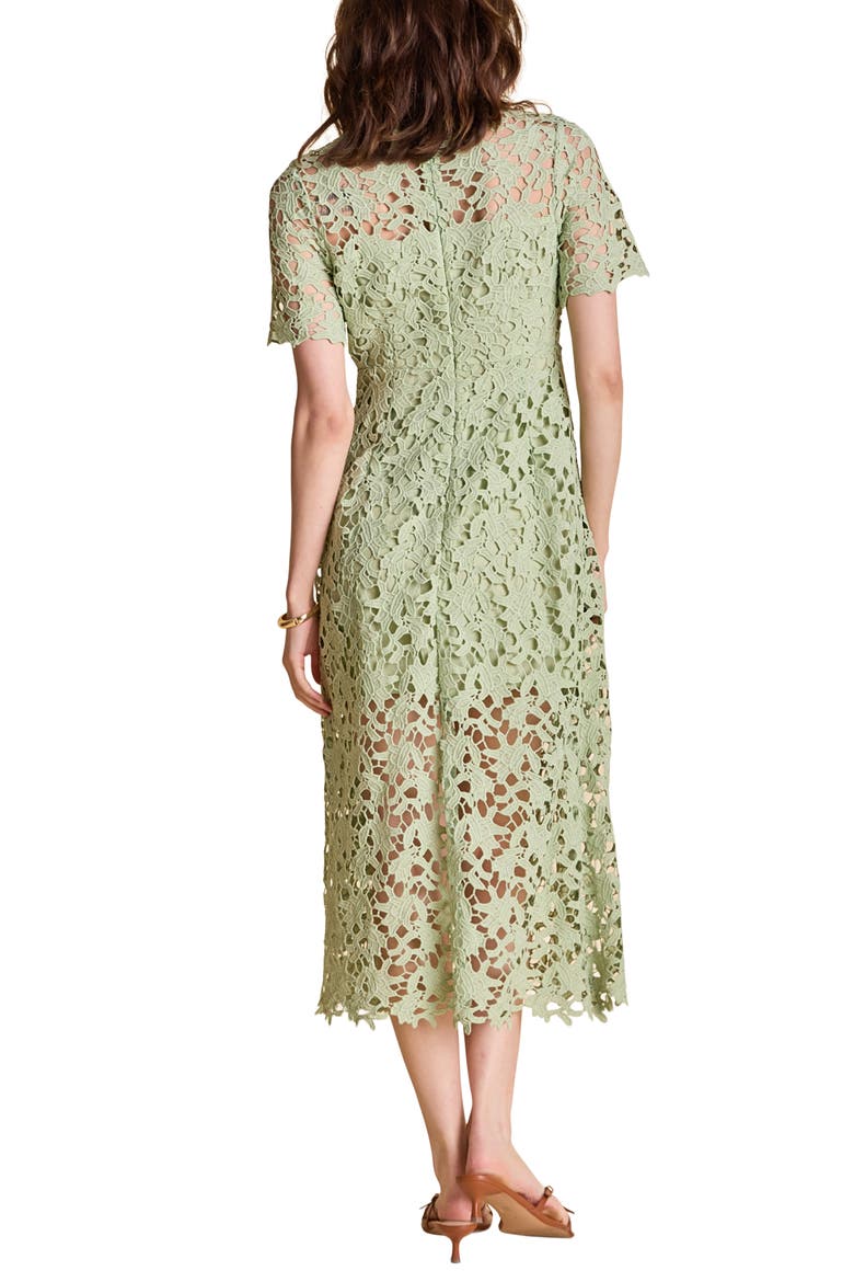 Allover Lace Midi Dress, Alternate, color, SAGE