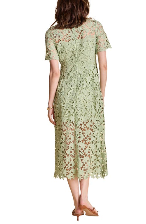 Endless Rose Allover Lace Midi Dress