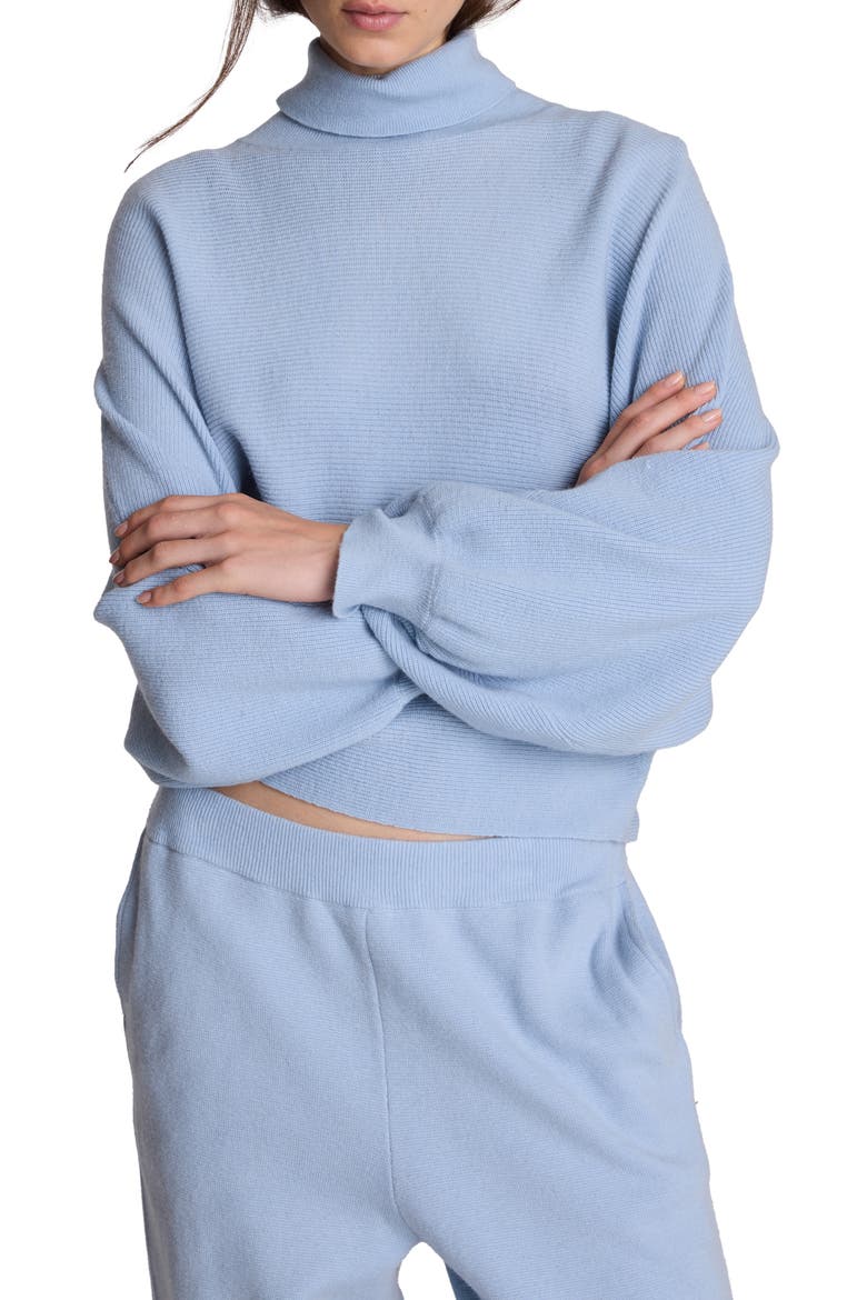 Shaker Crop Turtleneck Sweater, Main, color, SERENE BLUE