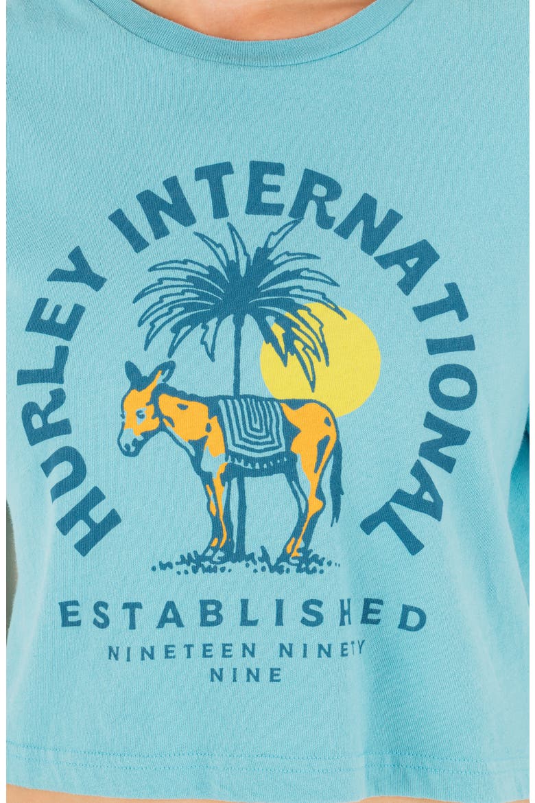 Burro Boxy Crop Cotton Graphic T-Shirt, Alternate, color, MAUI BLUE