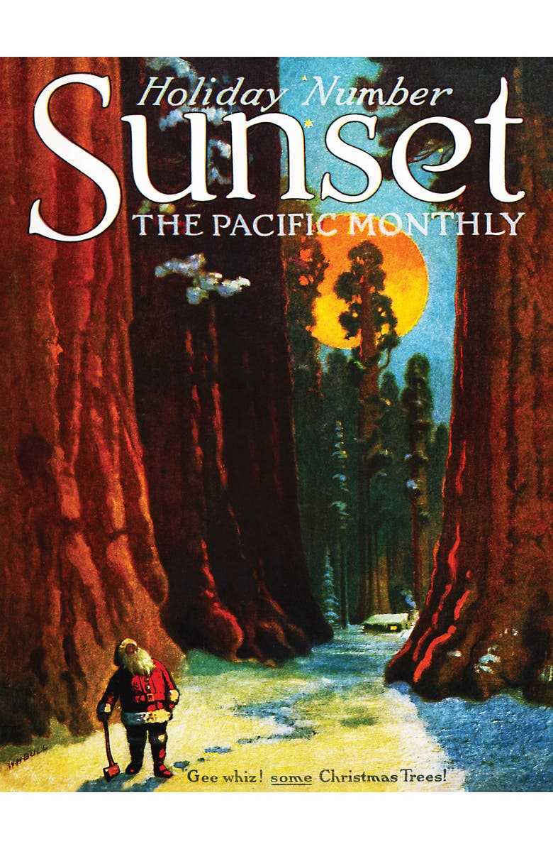 NEW YORK PUZZLE COMPANY Santa's Sequoias 500 Piece Puzzle, Alternate, color, 