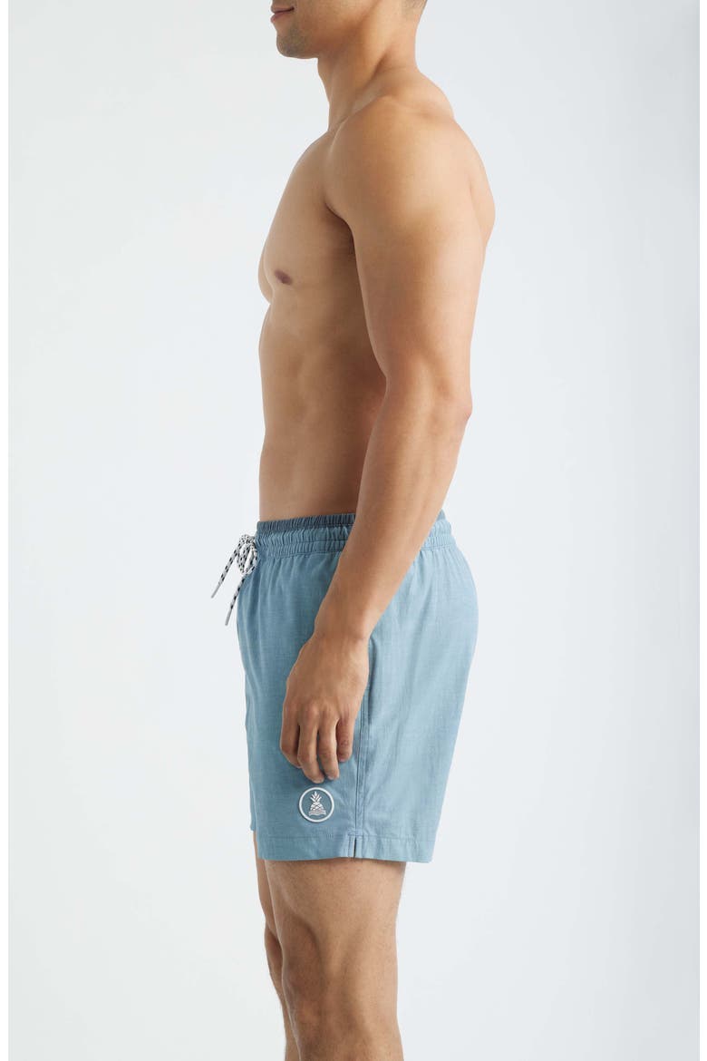 Blue Horizons 5.5-Inch Swim Trunks, Alternate, color, DUSTY BLUE