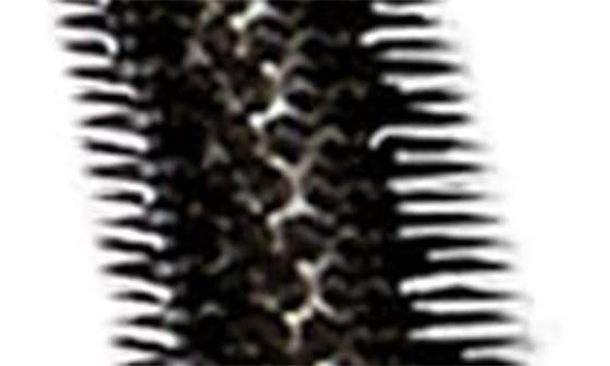selected 01 BLACK