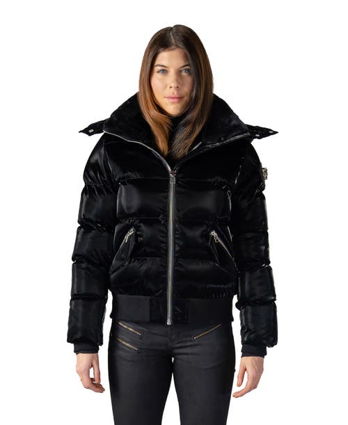 Woodpecker Woody Bomber Quilted Coat In Black