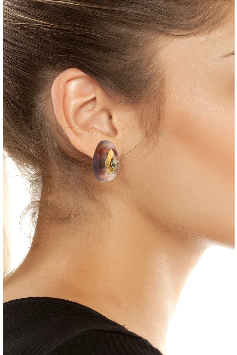 Ophelia Eagle Teardrop Stud Earrings, Alternate, color, BROWN