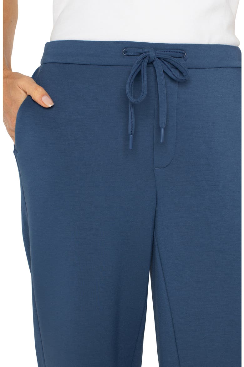 Crop Wide Leg Sweatpants, Alternate, color, PRUSSIAN BLUE