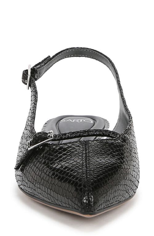 SARTO BY FRANCO SARTO SARTO BY FRANCO SARTO EMMA POINTED TOE SLINGBACK FLAT 