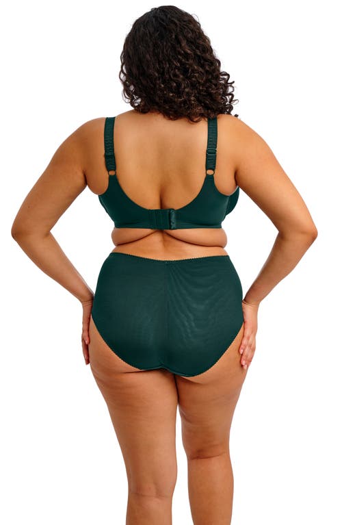 Elomi Plus Size Cate Allure Underwire Bra In Green