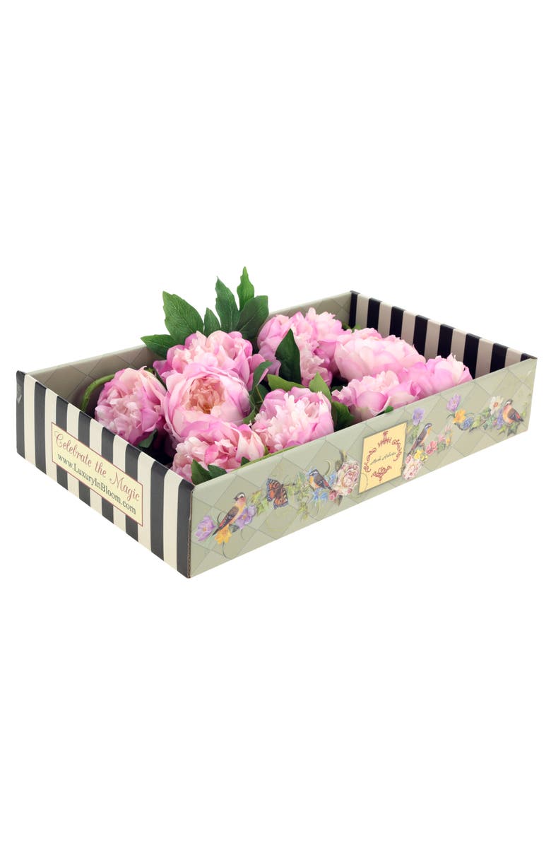 Mark Roberts Ruffled Peony Natural Touch, Box of 6, Main, color, 