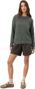 Pact Organic Cotton Shoreline Pullover Sweater