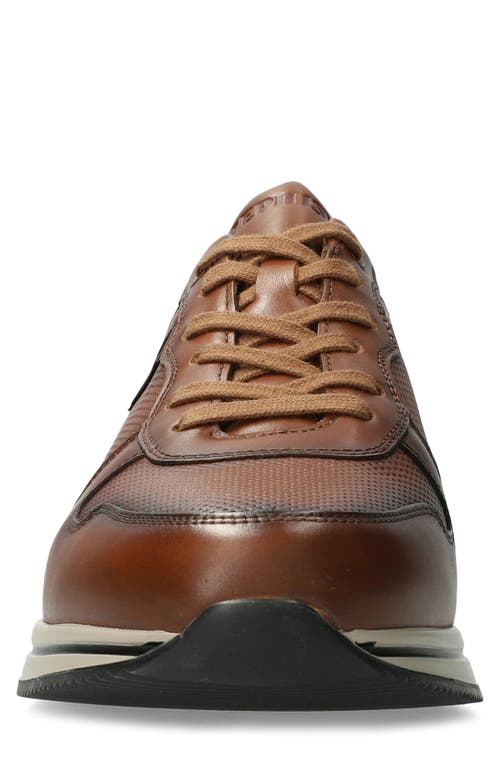 Mephisto Gerome Sneaker In Brown