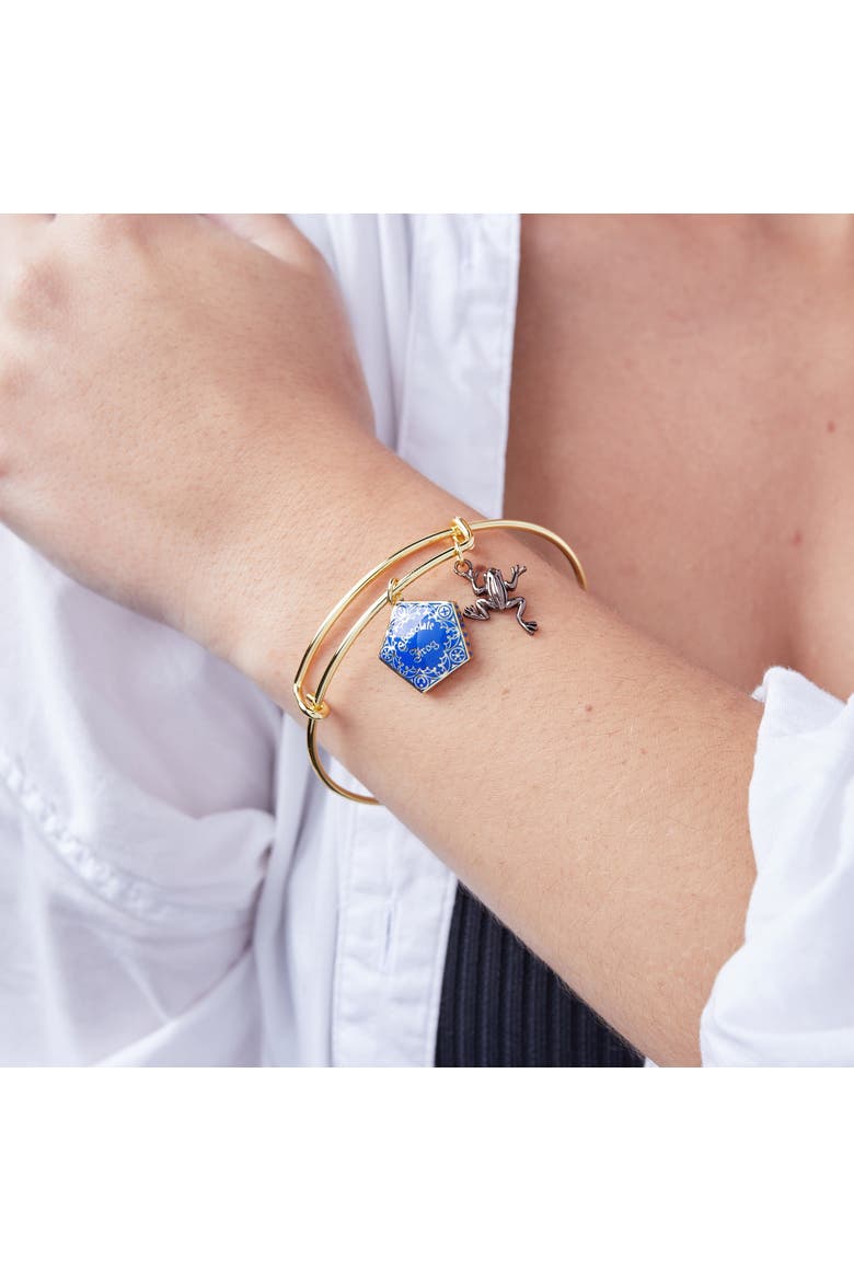 Harry Potter Chocolate Frog Two-Charm Bangle Bracelet, Alternate, color, Blue