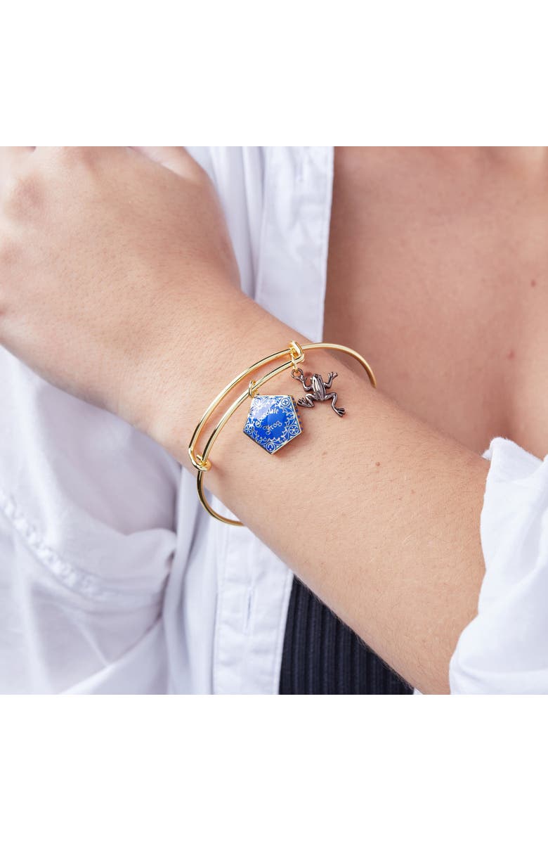 Alex and Ani Harry Potter Chocolate Frog Two-Charm Bangle Bracelet, Alternate, color, Blue