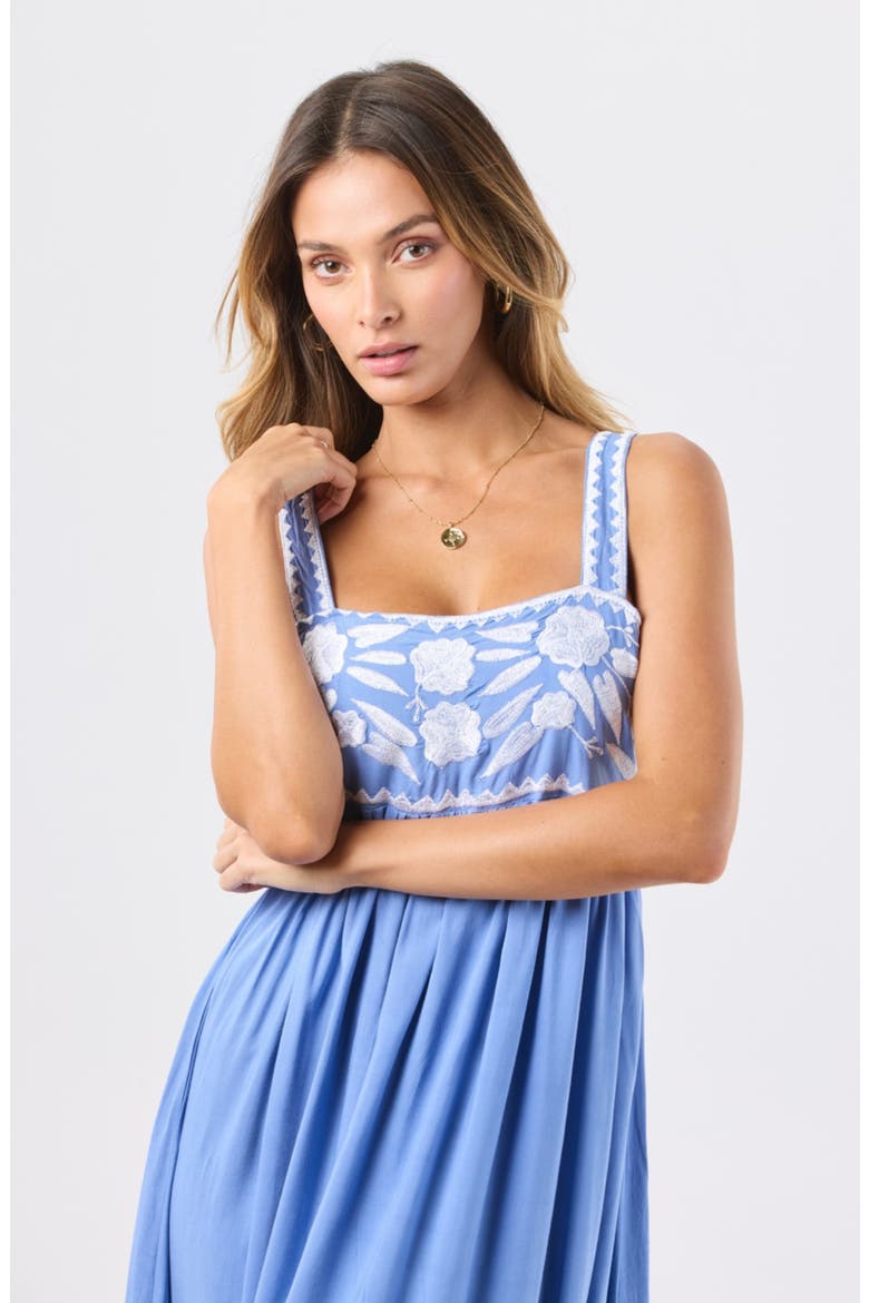 Antibes Embroidery Detail Maxi Dress, Alternate, color, CORNFLOWER BLUE