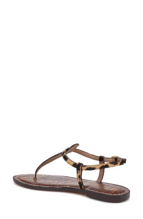 Sam Edelman Gigi Sandal In Cyprus Tan Multi