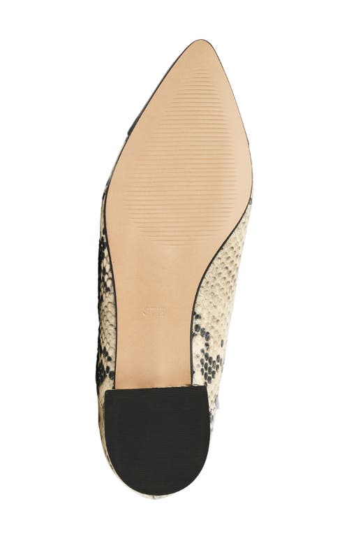 Bruno Magli Parma Pointed Toe Flat In Multi