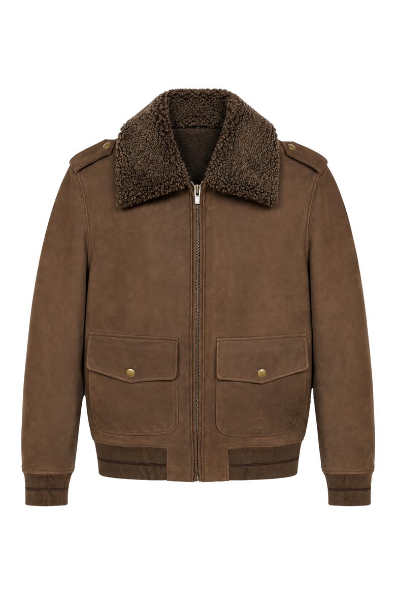 Flight Style Leather Jacket, Alternate, color, BROWN