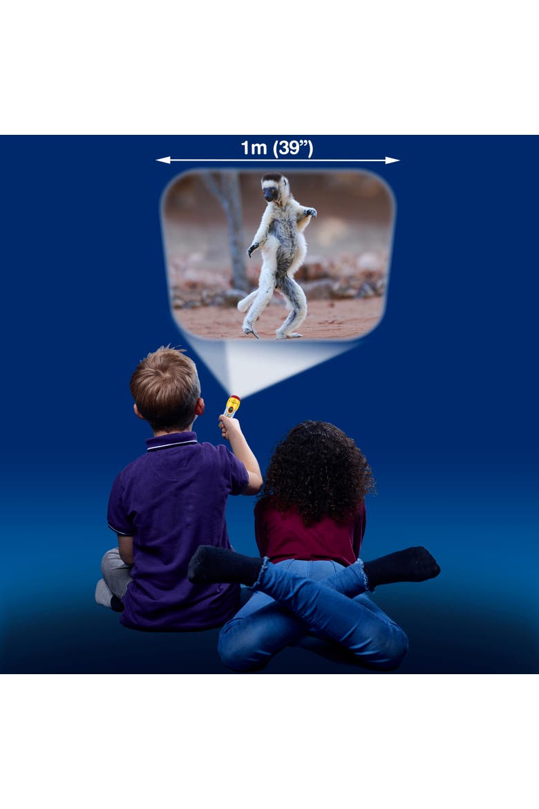 Funny Animals Torch and Projector, Alternate, color, Multicolored