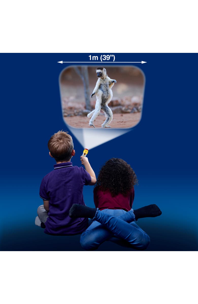 Brainstorm Toys Funny Animals Torch and Projector, Alternate, color, Multicolored