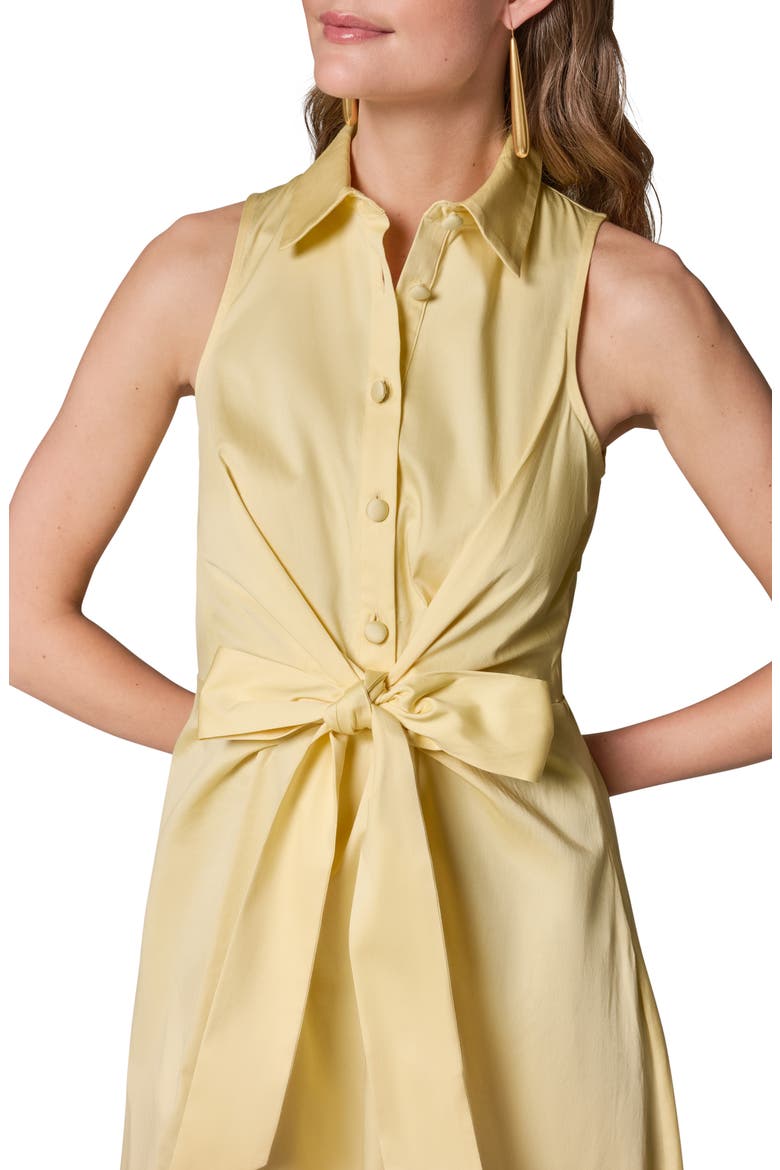 Sleeveless A-Line Midi Dress, Alternate, color, PANNA COTT