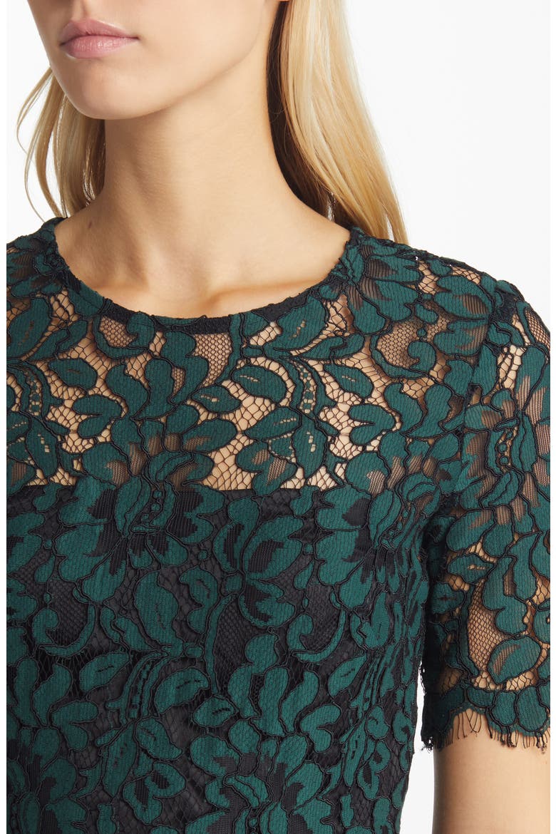 Embroidered Lace Overlay Cocktail Dress, Alternate, color, HUNTER