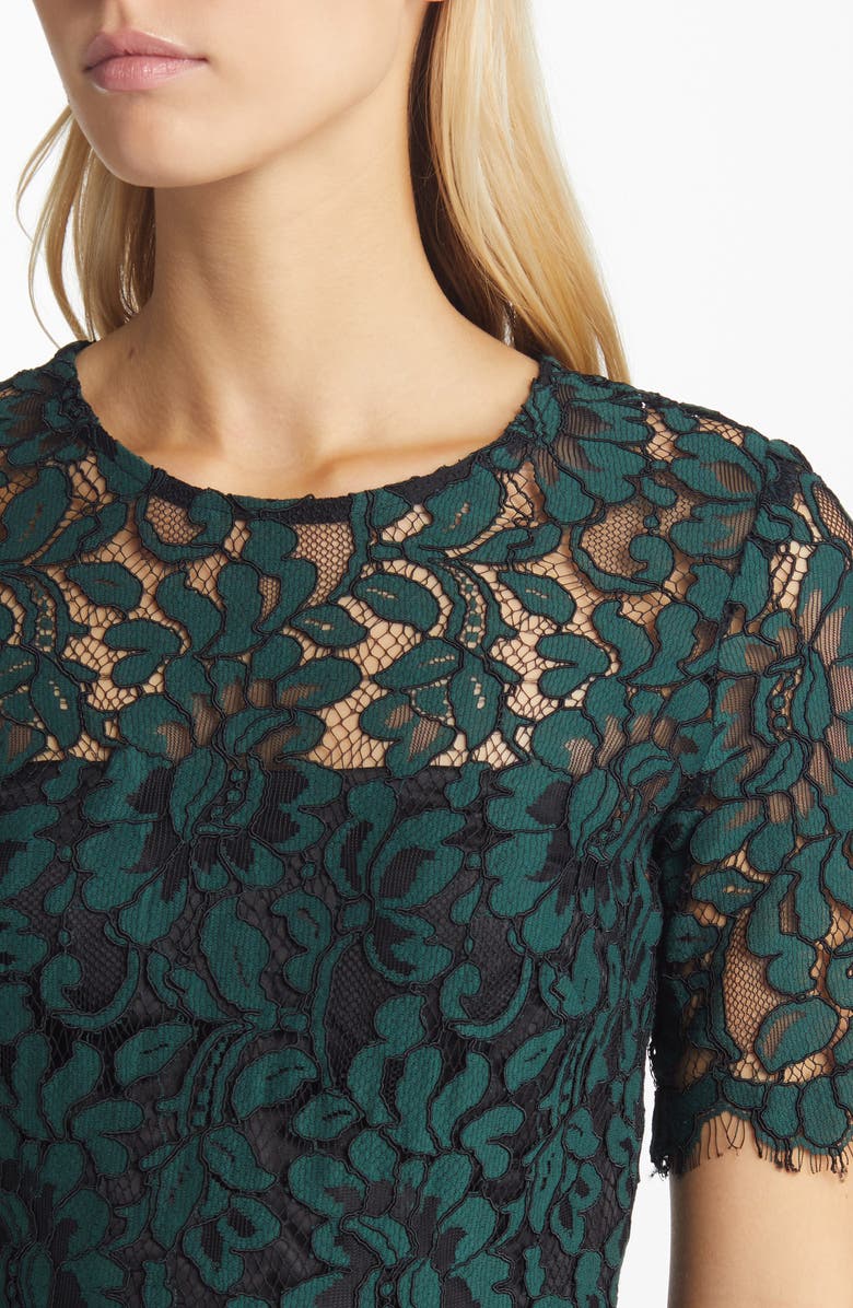 Eliza J Embroidered Lace Overlay Cocktail Dress, Alternate, color, 