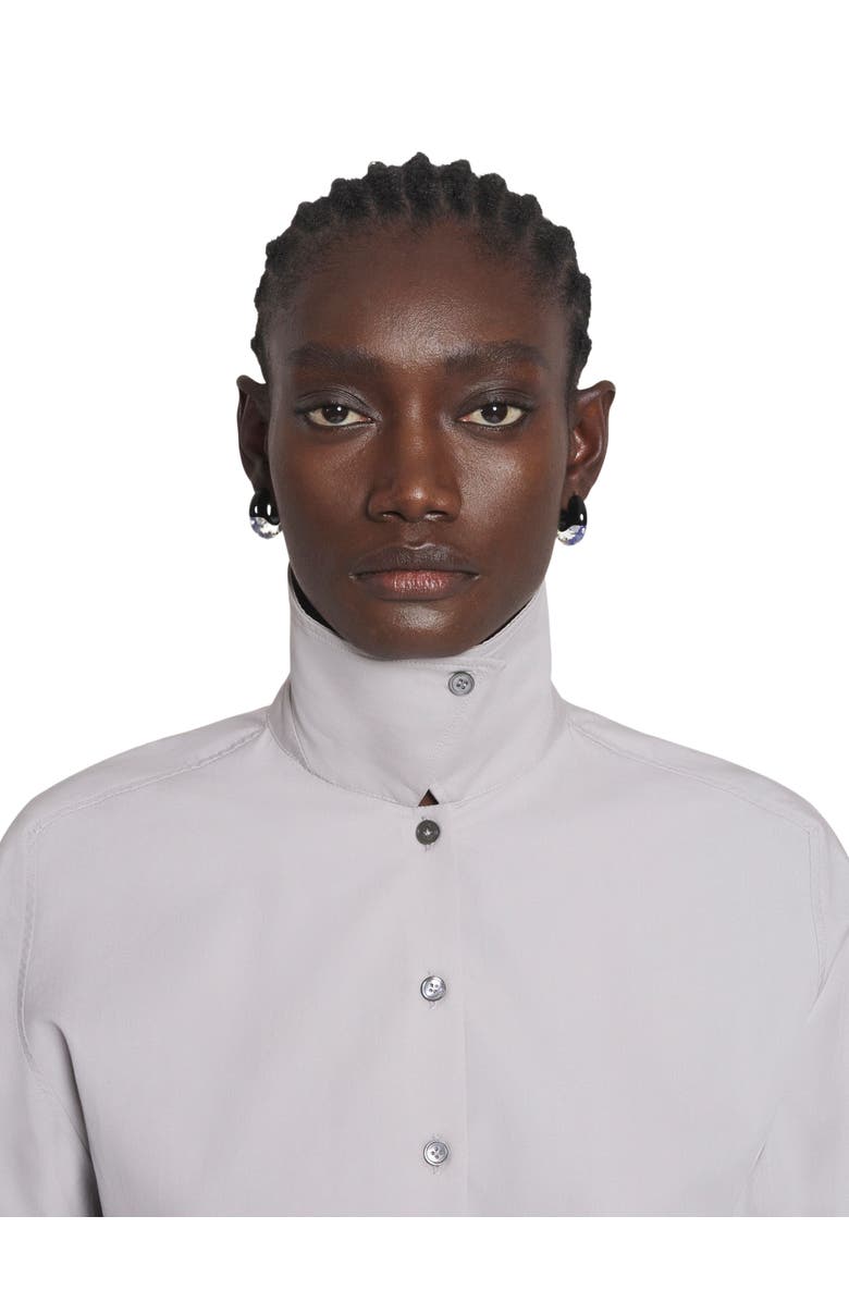 Lanvin Tailored Cotton Shirt, Alternate, color, Mink