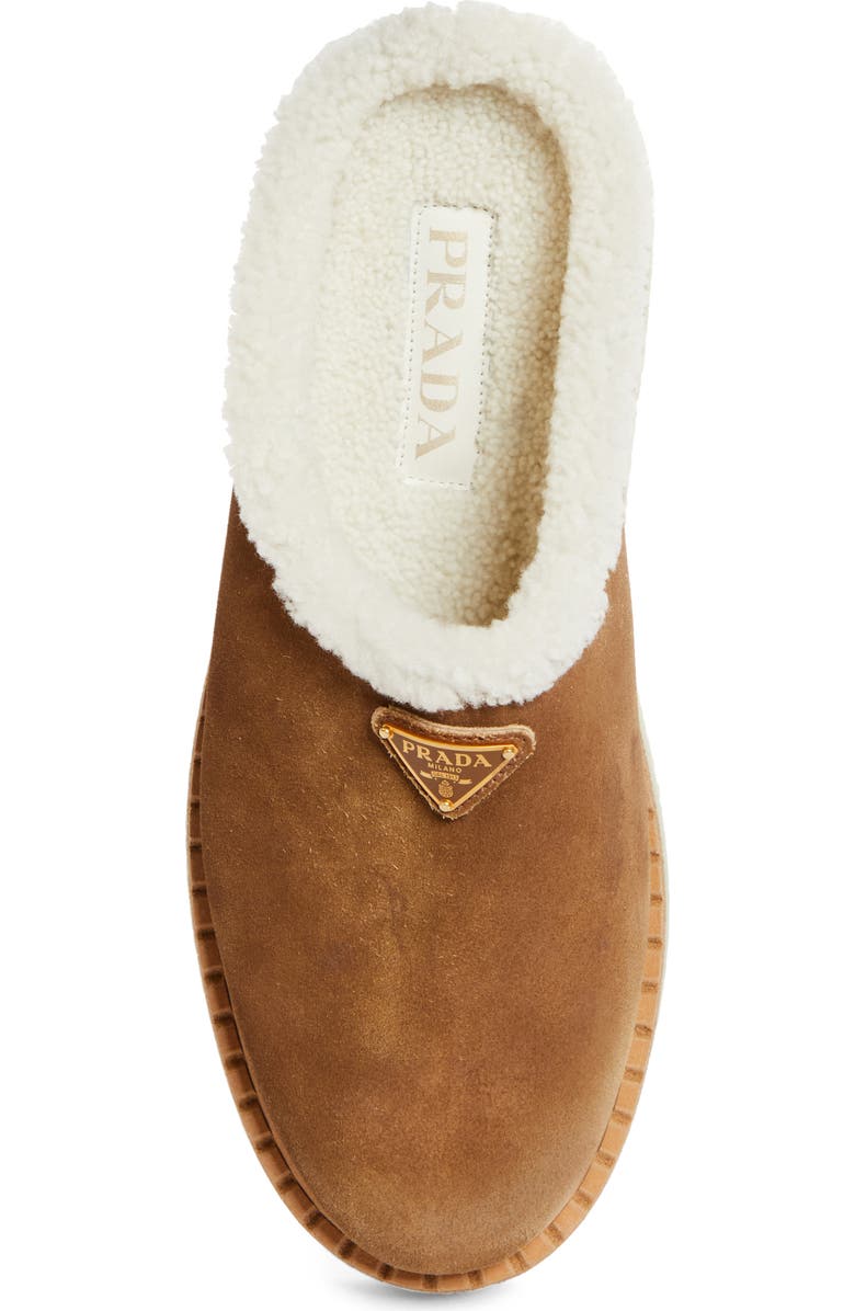 Prada Evolve Genuine Shearling Clog, Alternate, color, Cannella