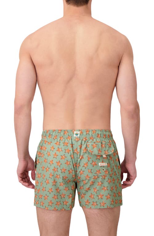 Sunset X Vine Sea Star Print Swim Trunks