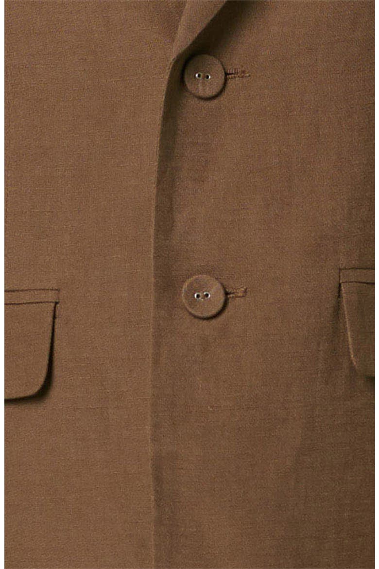Kail Oversize Linen Blend Blazer, Alternate, color, TOBACCO