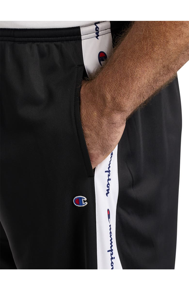 Champion Big & Tall Striped Track Pants, Alternate, color, 