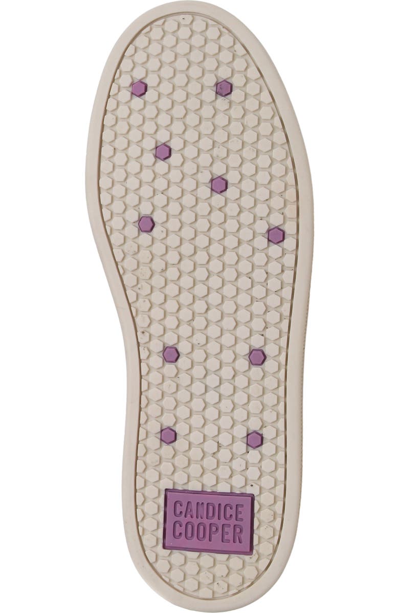 Candice Cooper Tim Perforated Leather Lace-Up Sneaker, Alternate, color, Black