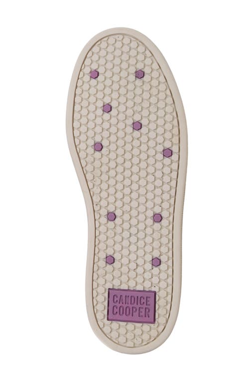 Candice Cooper Tim Perforated Leather Lace-up Sneaker In Black